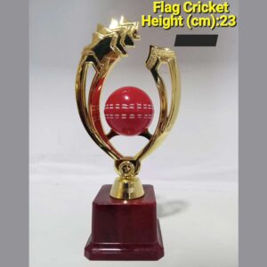 Flag Cricket 23cm