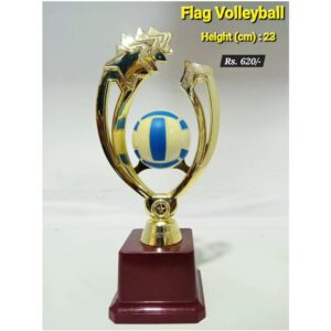 Flag Volleyball
