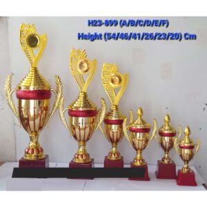 Trophy H23-899(A/B/C/D/E/F)