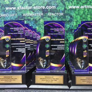 Lions Club Awards