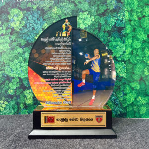 Plaques